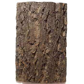 Amazon.co.jp: コルク樹皮 板 20×30cm（厚約10mm以下）3枚