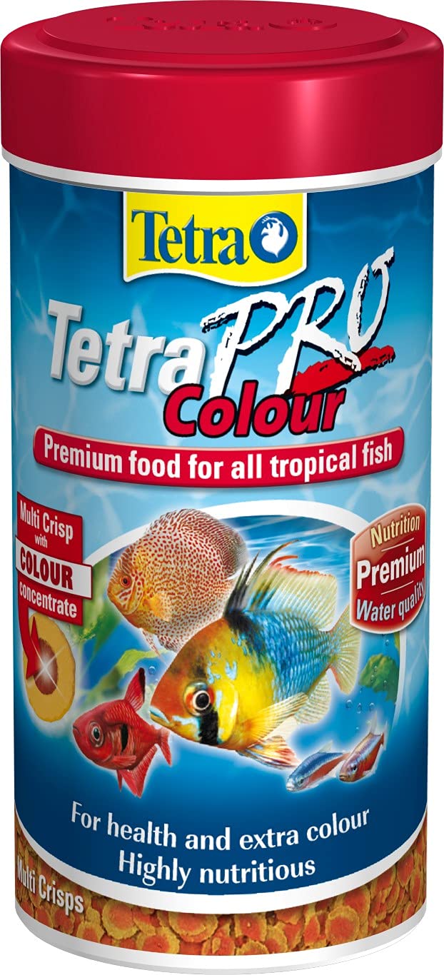 Tetra Procolour Renklendiri Cips Balık Yemi 300 ml