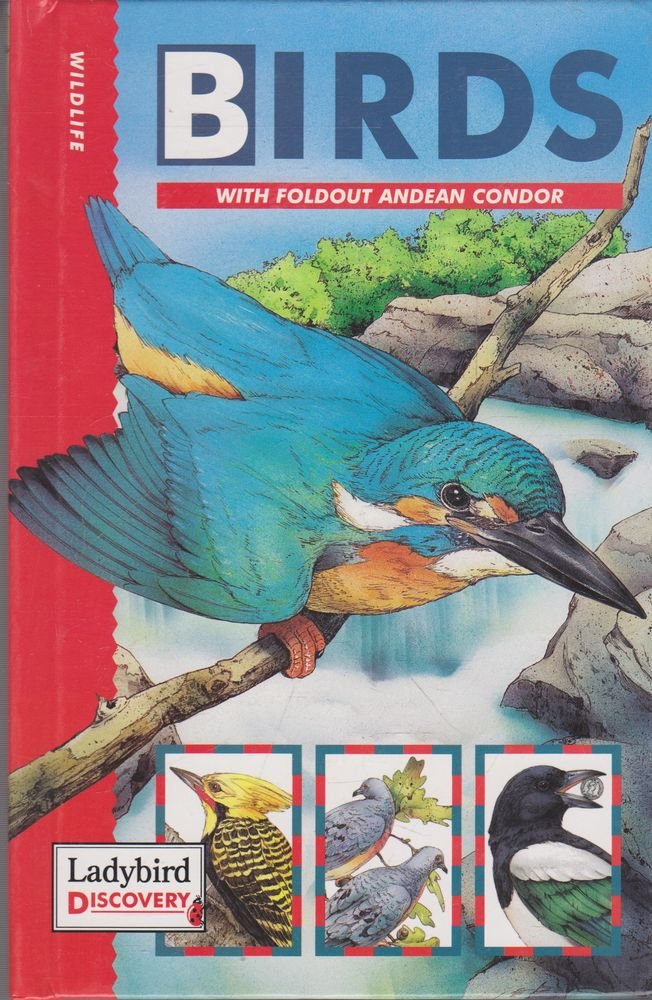 Discovery:Birds (Discovery S.)