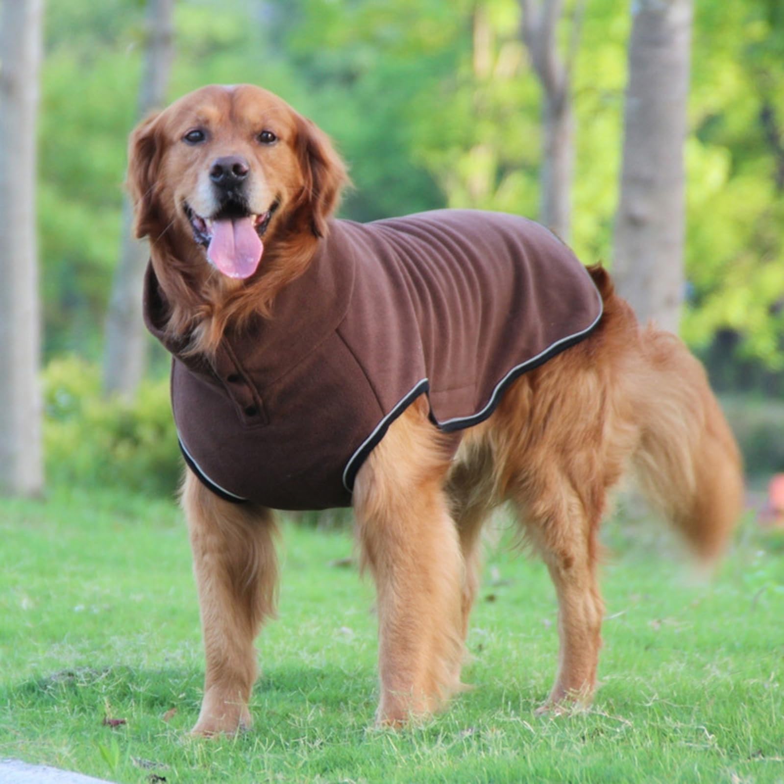 Vestiti per cani Media Size Abbigliamento per cani Pet Cold Weather Giacche Pet Fashion Gilet per passeggiate serali