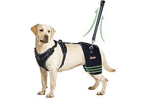 LISPOO Dog Hip Support Brace: Ultimate Pain Relief for Dysplasia and Hip Issues