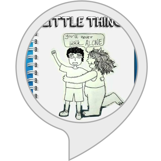 Amazon.in little things Alexa Skills