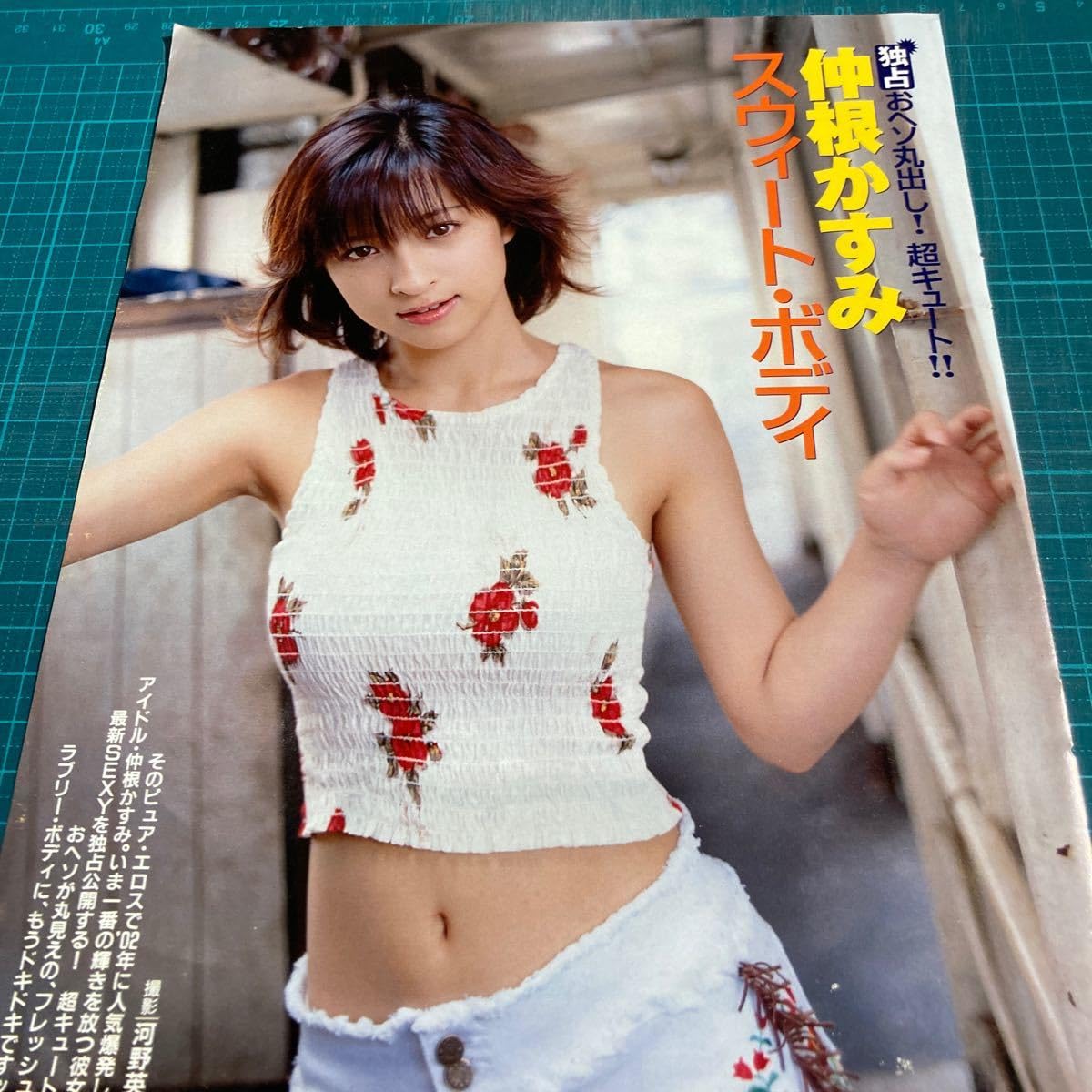 Amazon.co.jp: D12 切り抜き 仲根かすみ : DIY・工具・ガーデン