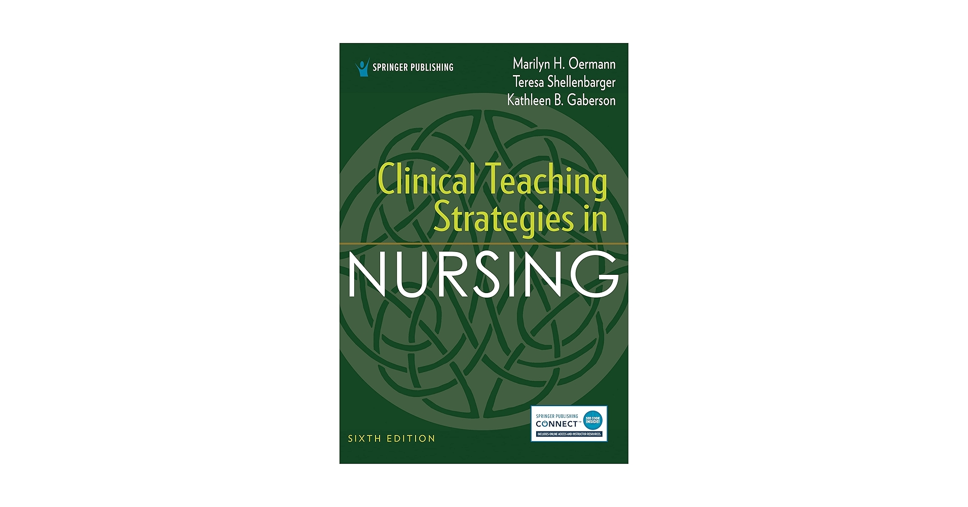 Clinical Teaching Strategies in Nursing: 9780826167040