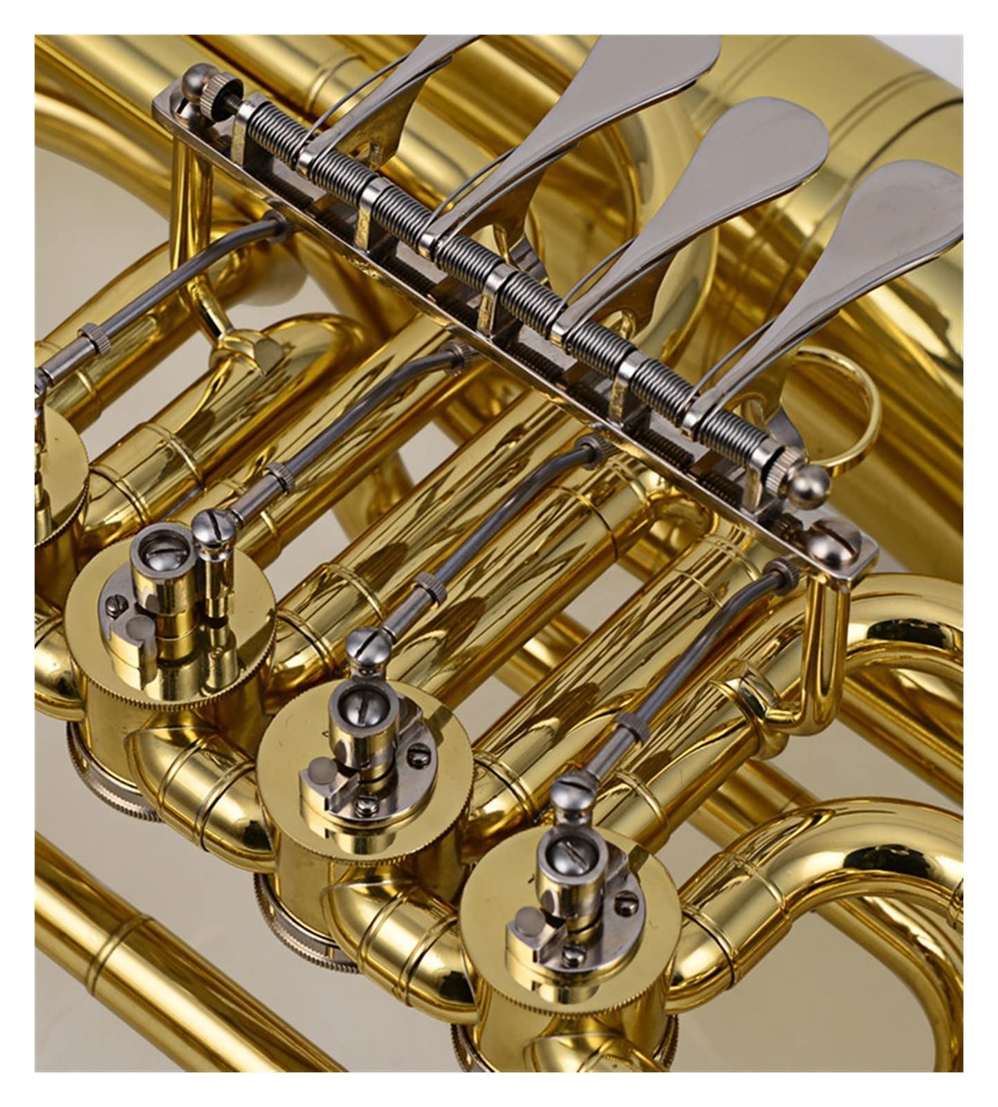 Amazon.com - SHUNTIAN Brass Finishing Euphonium Professional