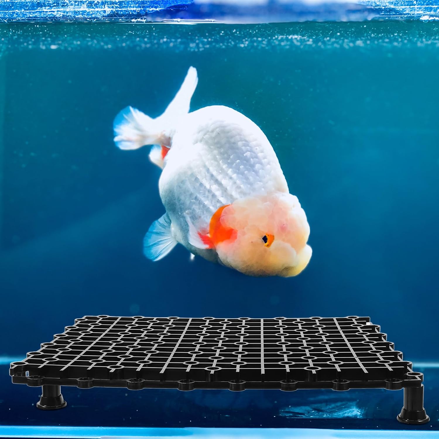 4Pcs Aquarium Divider Plates Durable Material Fish Tank Isolation Boards with Design for Flexible Splicing and Easy Installation for Breeding Fish