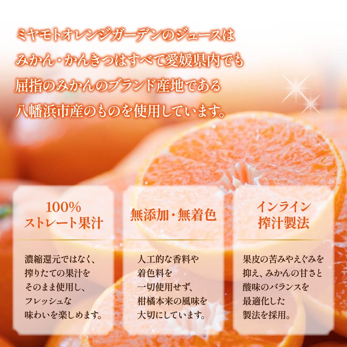 愛媛県産 無添加100%ストレートみかんジュース 12本入り