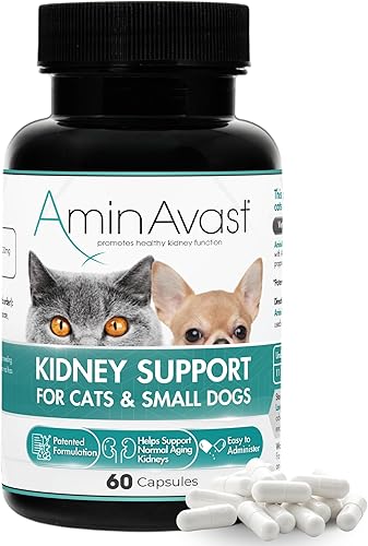 AminAvast Apoyo renal para perros pequeños y gatos - Promueve el apoyo renal saludable en gatos y perros pequeños - 300 mg, 60 cápsulas