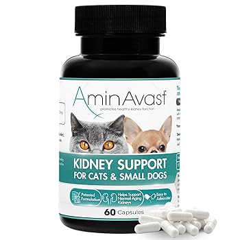 AminAvast 健康サポートサプリメント 60カプセル Amazon.com : AminAvast Kidney Support Supplement for Cats