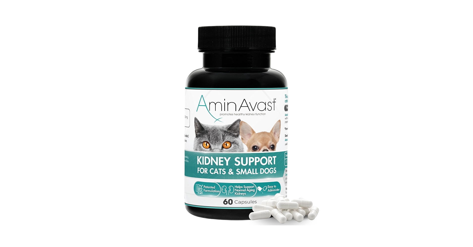Amazon.com : AminAvast Small Dogs & Cat Kidney Support