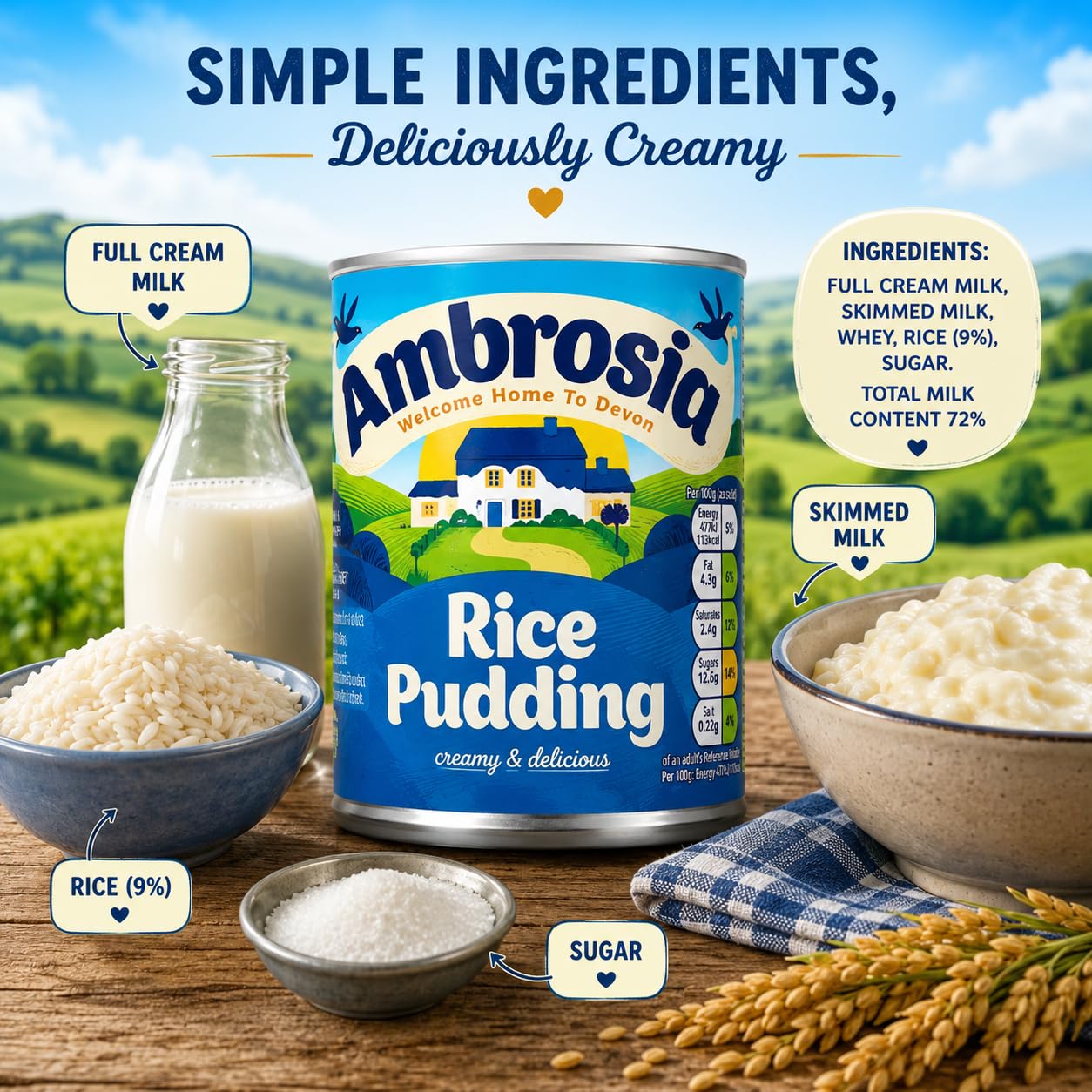 Ambrosia Devon Rice Pudding 14.1 Ounce Cans Pack of 12 product thumbnail 8