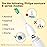 Aoremon Replacement Toothbrush Heads for Philips Sonicare E-Series Essence HX7022/66 and other Screw-on Electric Toothbrush Model, 6 Pack