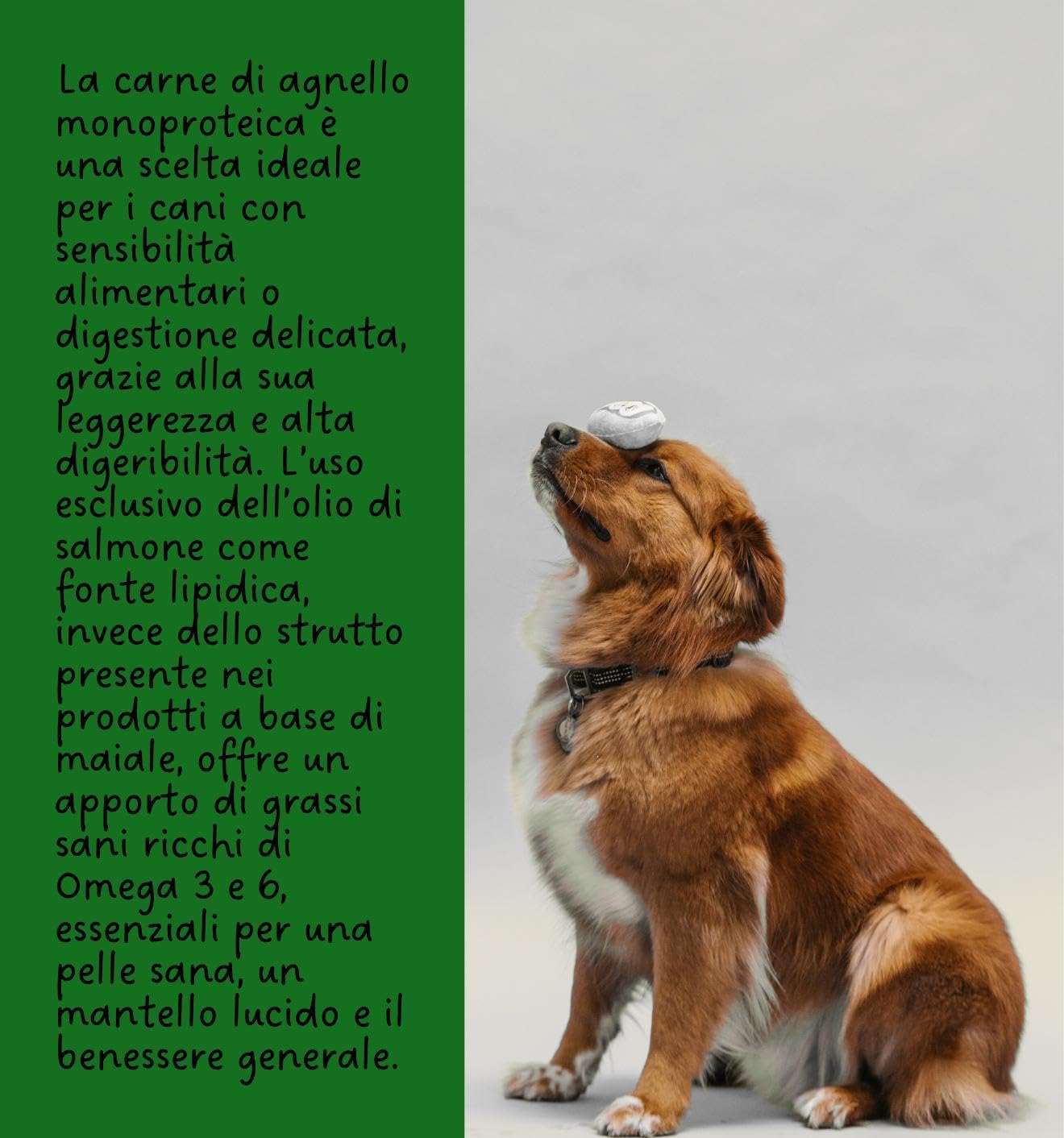 Aldog Perro Adult Cordero 8 kg, alimento seco completo para perros adultos de pequeña talla, monoproteico.