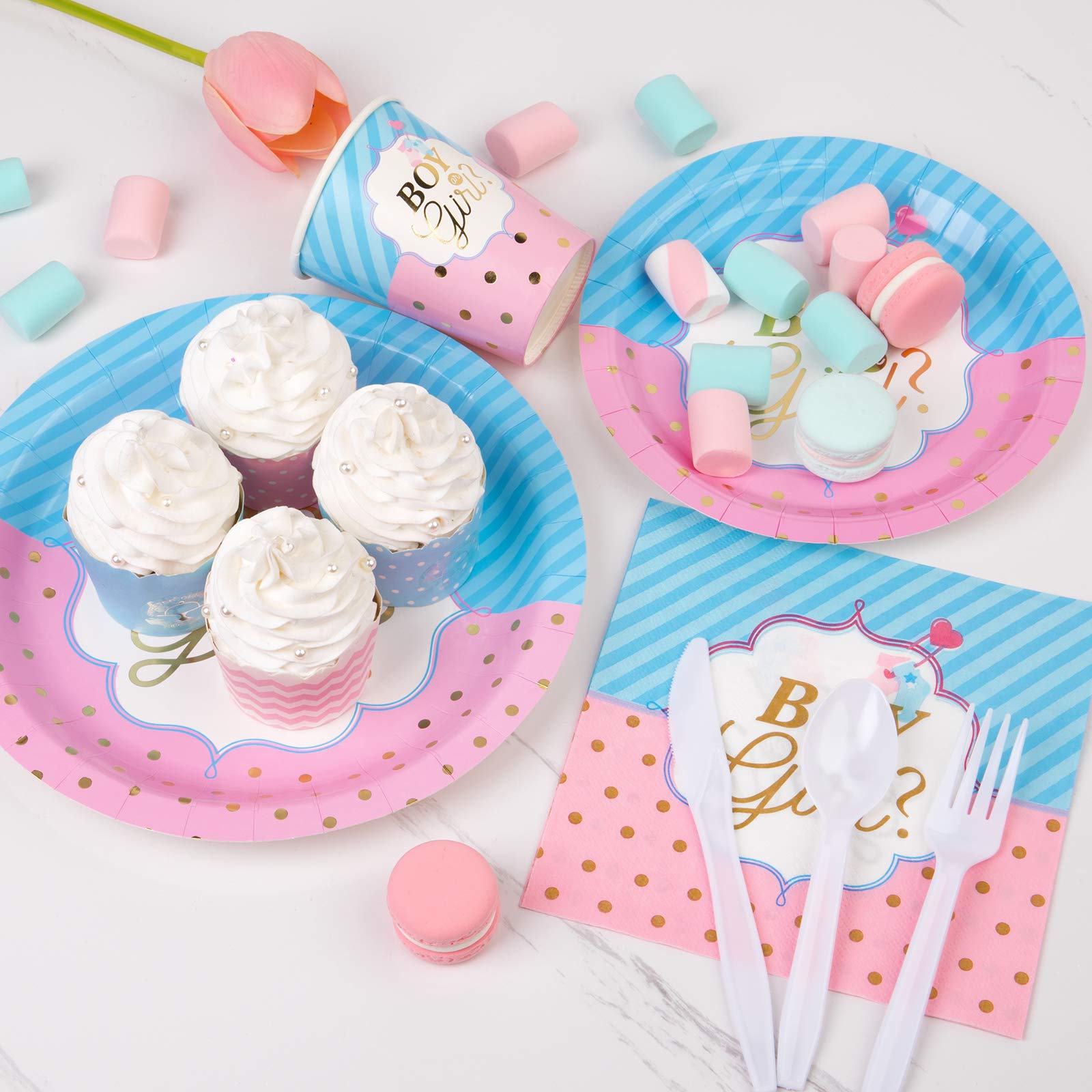のパーティ DECORLIFE Gender Reveal Party Supplies 24人用、Gender Reveal Party