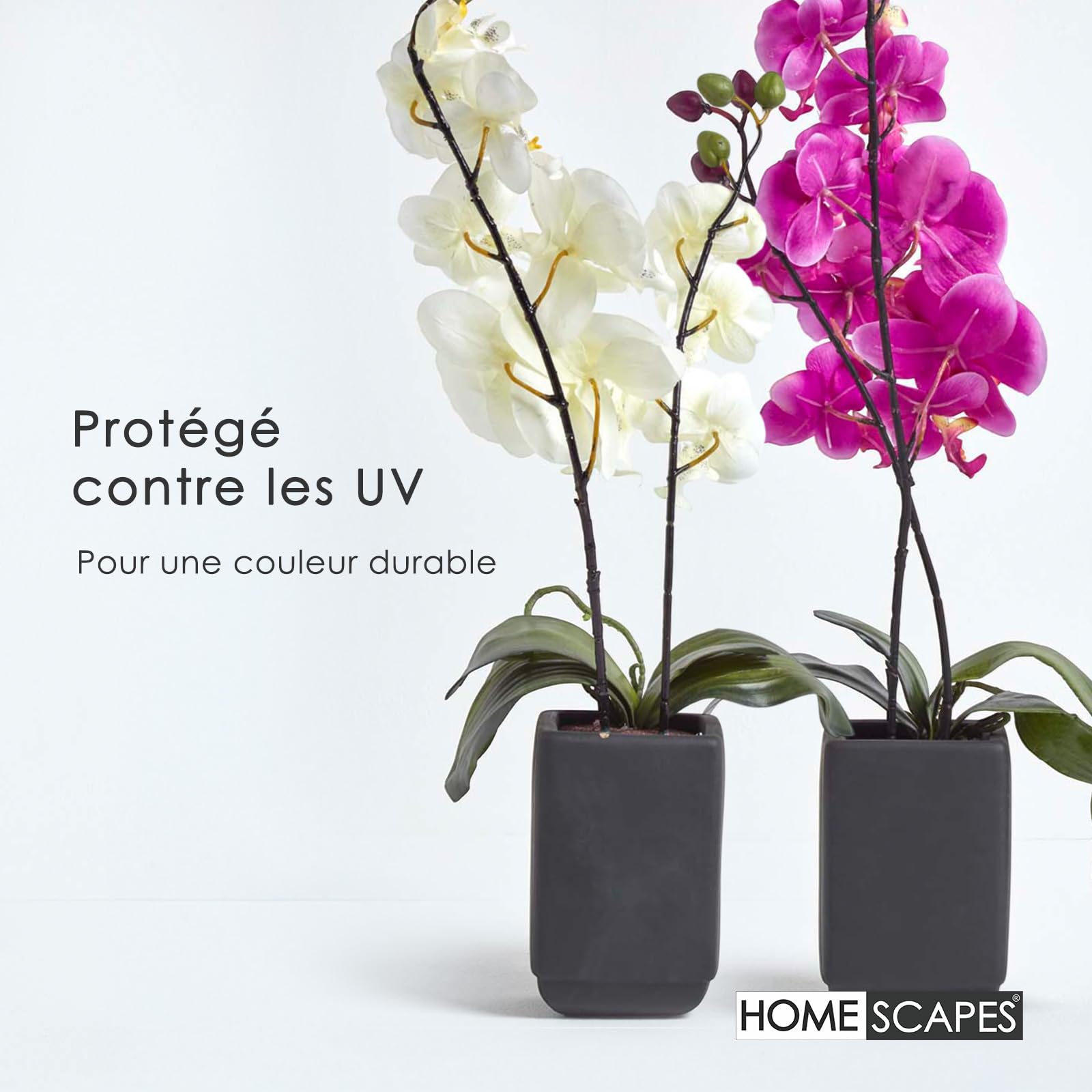 HOMESCAPES Orchidée artificielle en pot céramique rectangulaire noir, 55 cm, Lot de 2 plantes artificielles