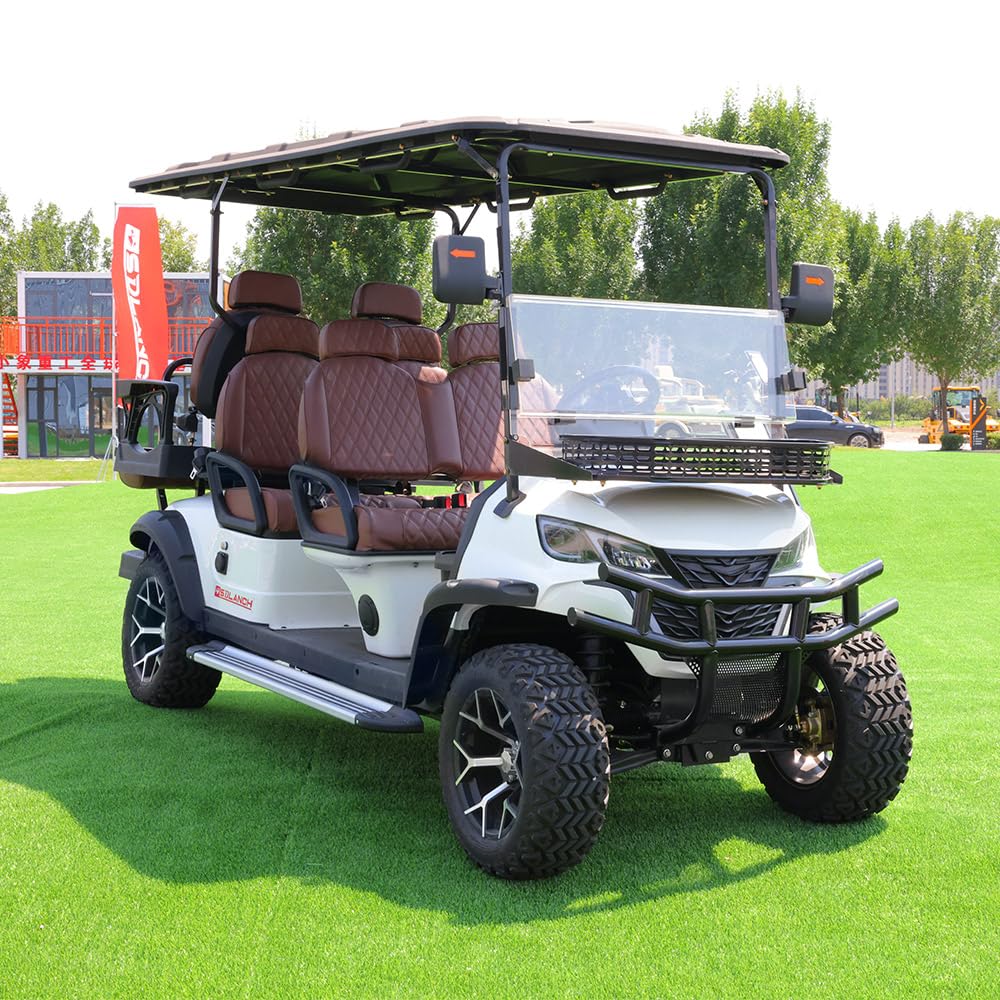 6-Seater Electric Golf Carts 60V