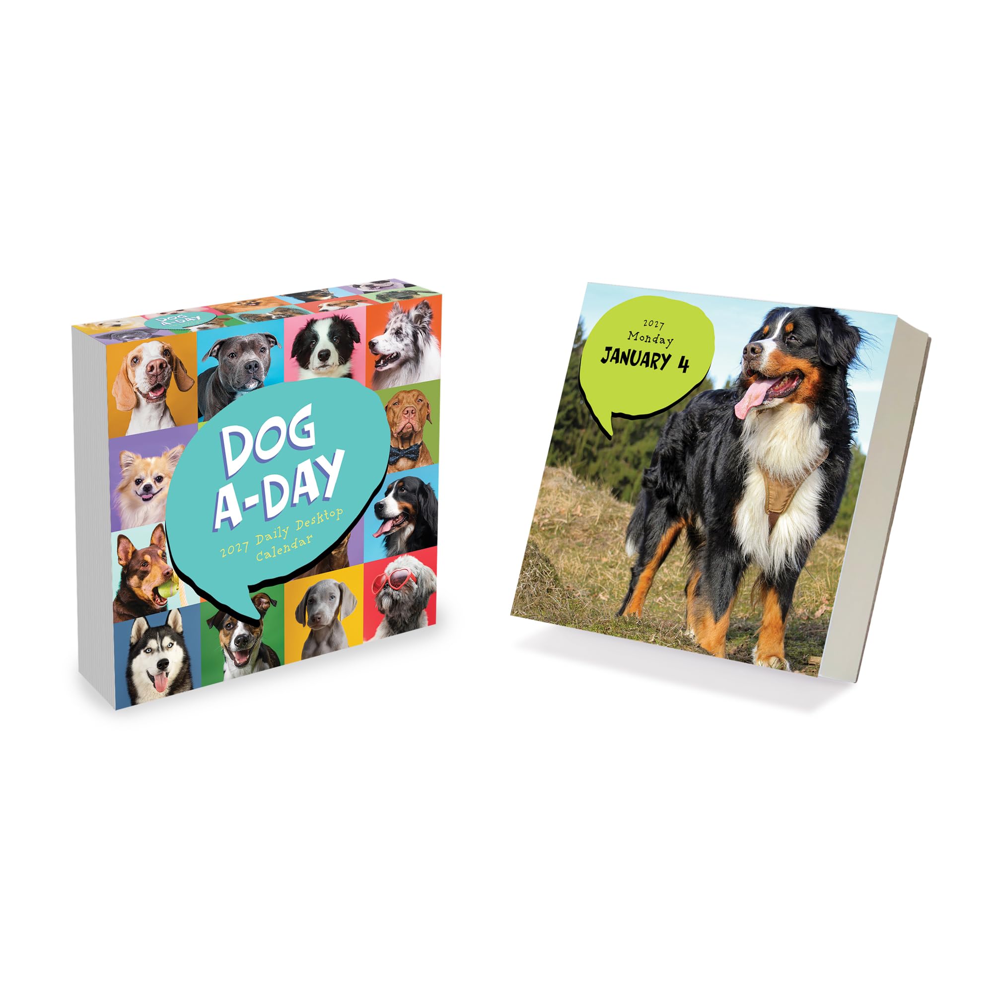 TF Publishing 2027 Dog A Day Daily Desktop Calendar - Small Desk Calendar 2027 with over 300 Full-Color Tear-Off Pages and Standing Cardboard Easel - 5.25 in x 5.25 in