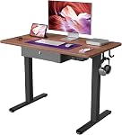 FEZIBO Standing Desk, 48 × 24 Inches Electric Height Adjustable, Sit and Stand Up, Computer Office Desk with Splice Board, White Frame/Maple TOP