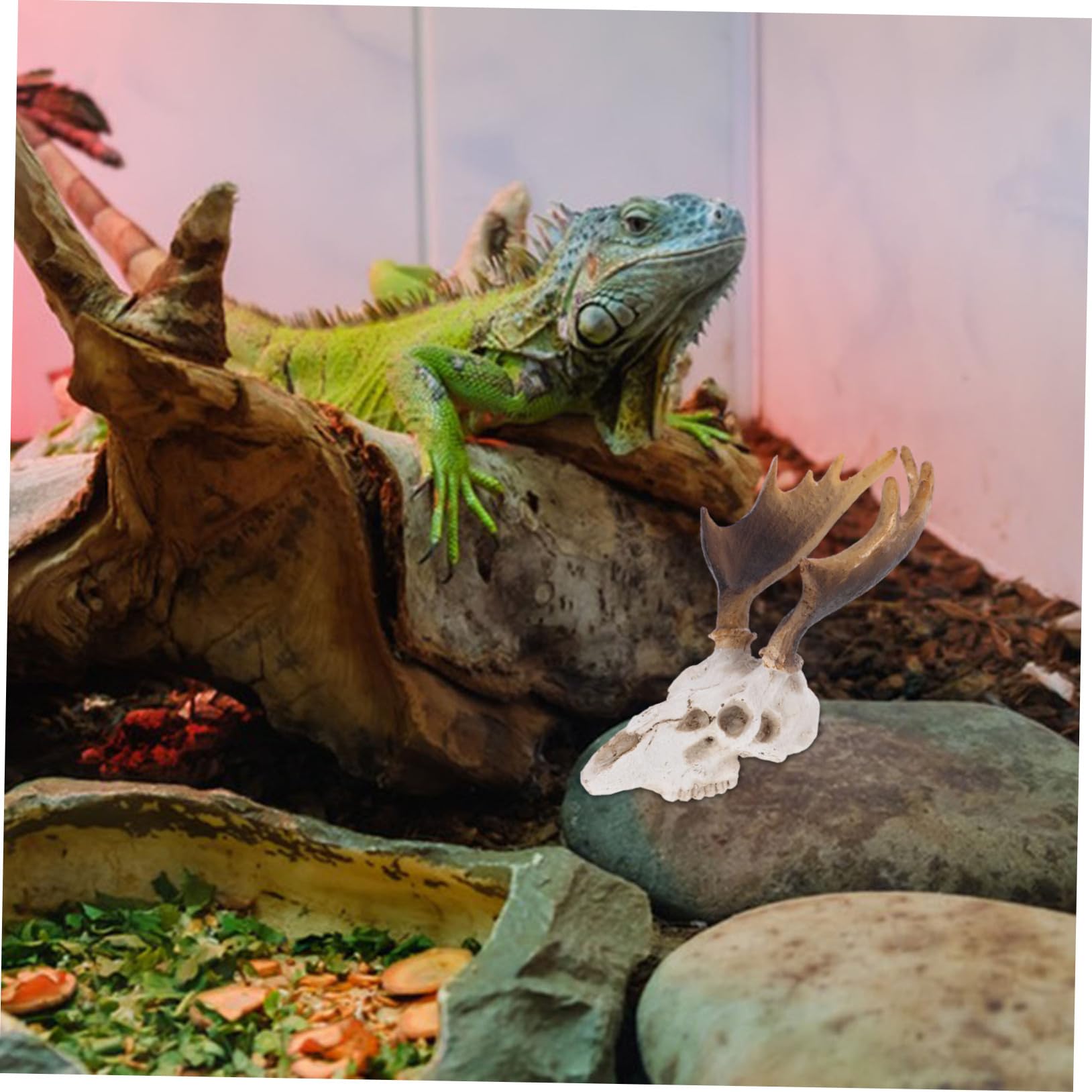 POPETPOP 5 Pz Decorazione Dell'habitat Animali Ornamento Della Caverna Del Rettile Acquario Per Rettili. Pelle Di Teschio Di Cervo Nascondiglio Per Rettili Nascondiglio Dei Rettili Resina