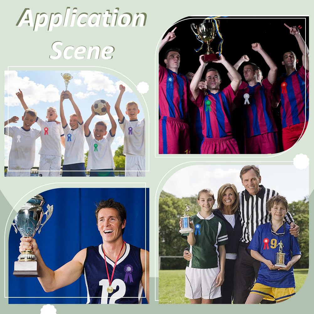 BEUNITONE 20Pcs Blank Award Prize Ribbons 1st 2nd 3rd Place Ribbon Medals, Winner Victory Recognition Participation Rosette Ribbon Medals for Competition Sport Event, School, Contest, DIY Accessory - Image 4
