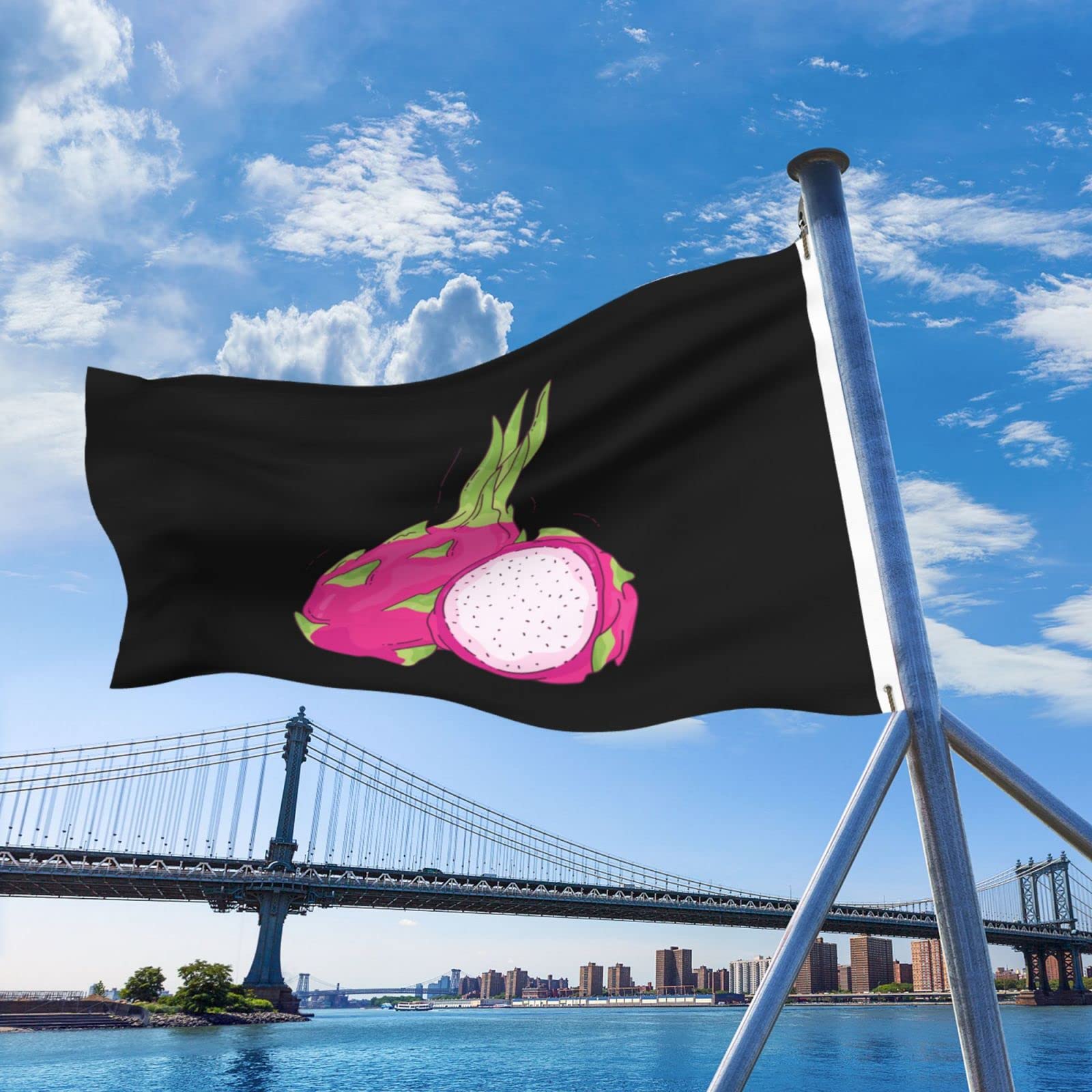 Amazon.com : POOEDSO Red Dragon Fruit Flags 5x8 Ft Outdoor Double