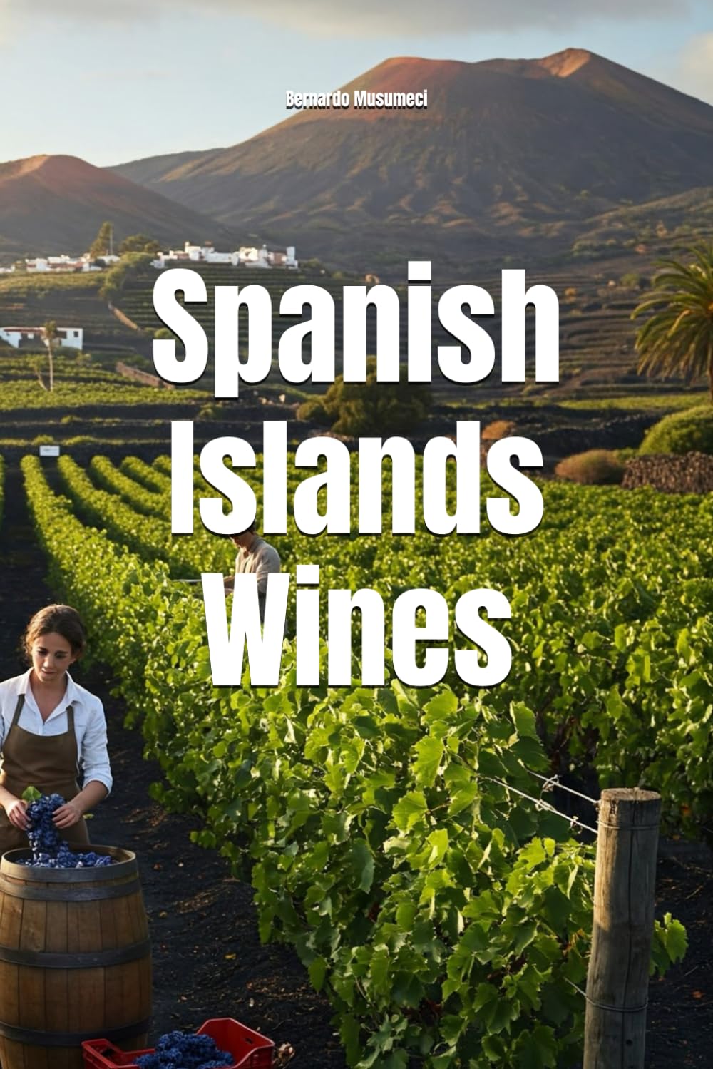 Spanish Islands Wines (Wines of the World: Spain)
