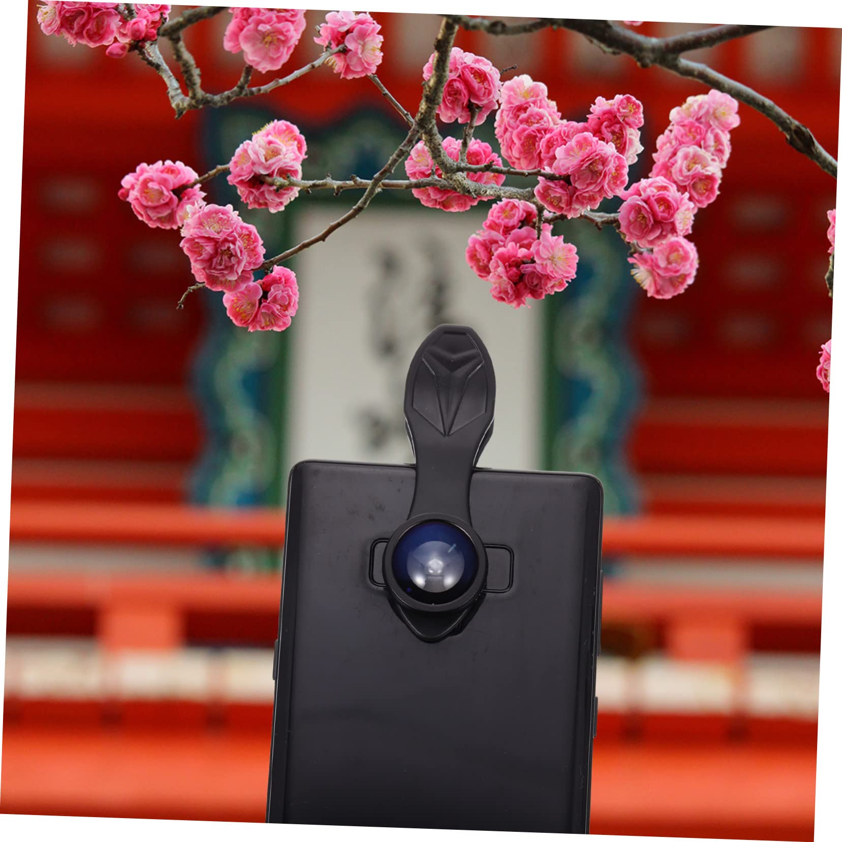 LABRIMP 2sets Macro Per Smartphone Design Grandangolare e Macro Per e Dettagliate Compatibile Cellulari