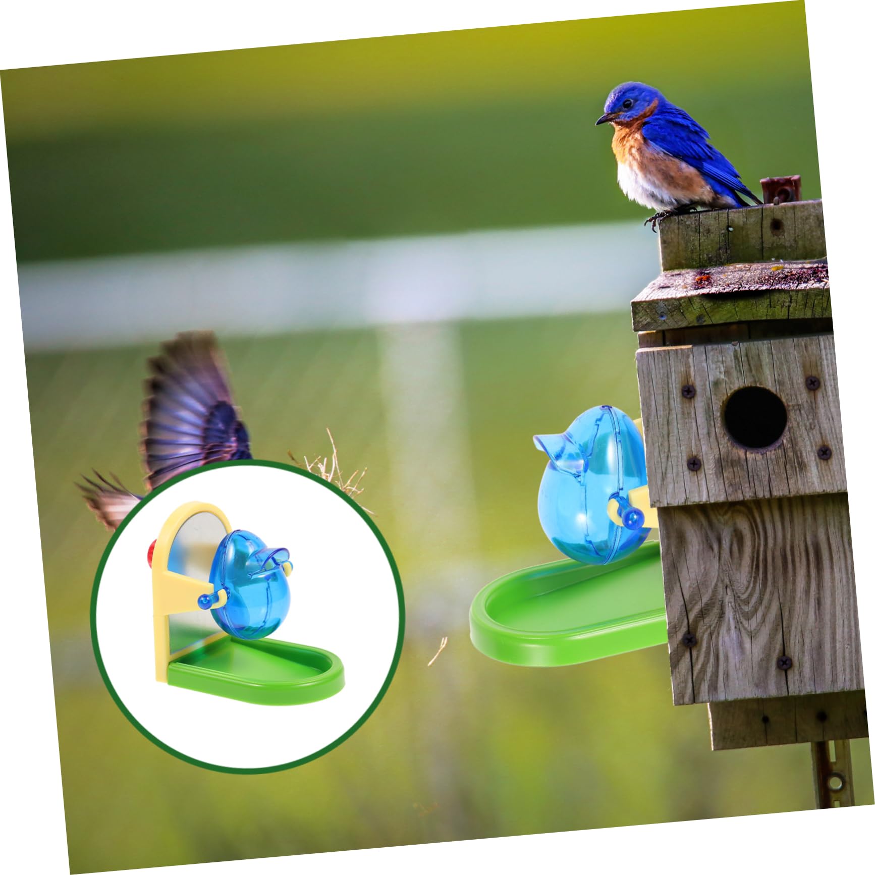 Toyvian Juguete Dispensador de Comida para Entrenamiento y Entretenimiento para Loros y Pájaros Estructura Simple Material de Metal y Plástico Color Aleatorio