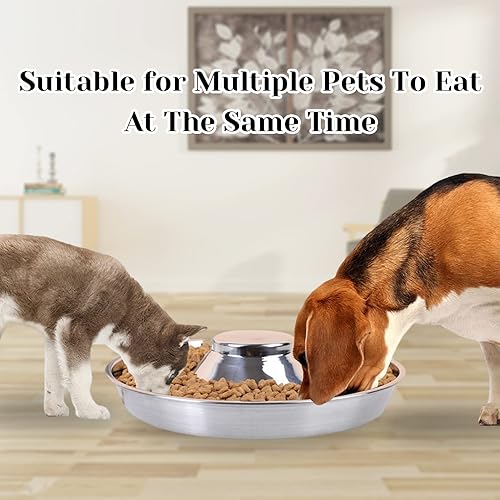 Miniatura 6 de Fhiny Paquete de 2 cuencos de acero inoxidable para cachorros, plato de alimentación para destete de mascotas con cuchara para camadas, mascotas,