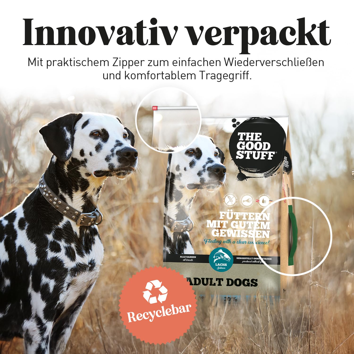 The GOODSTUFF Lachs (Adult) 12,5 kg | Hochwertiges Hundetrockenfutter getreidefrei | Mit frischem Lachs | Hundefutter trocken für ausgewachsene Hunde | Super-Premium Trockenfutter für Hunde