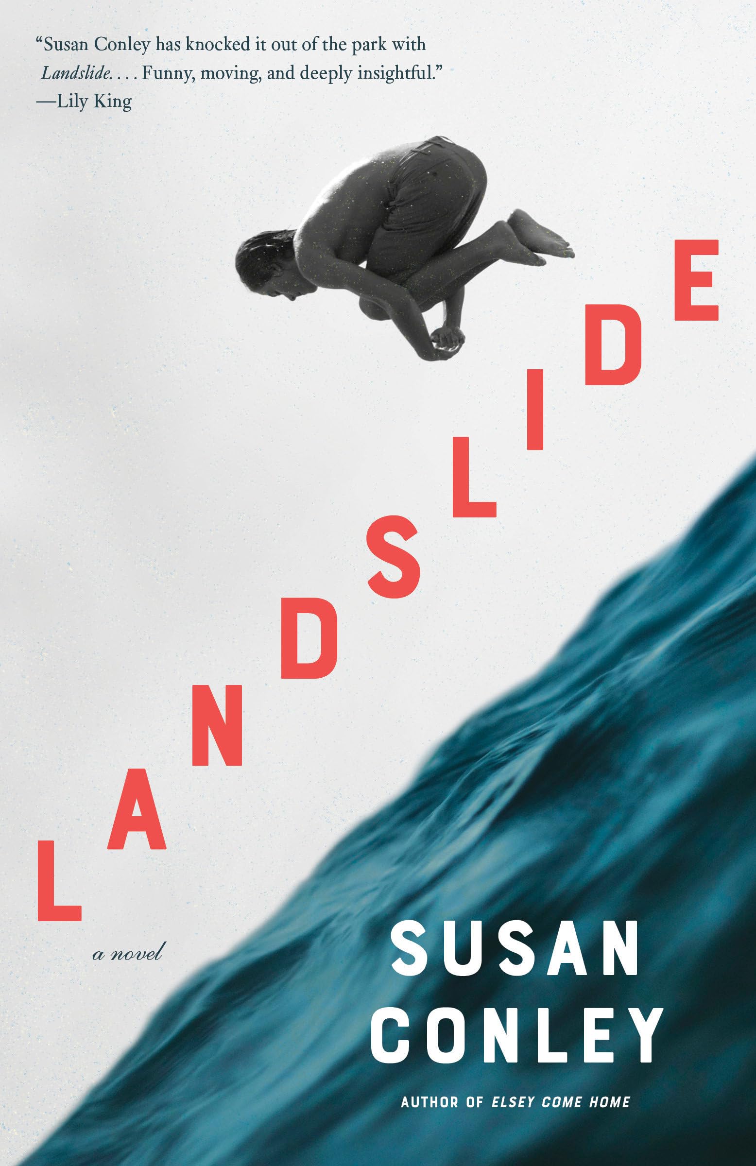 Landslide A novel by Susan C. Conley (Paperback Book)