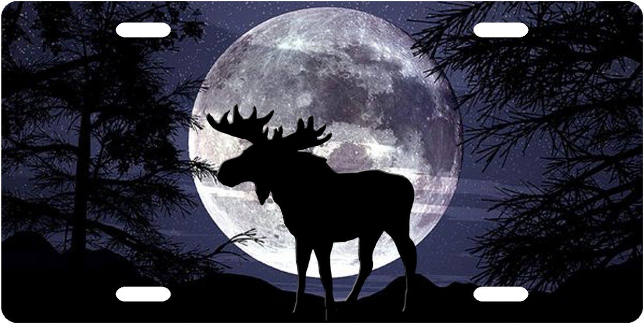 Evening Moose Custom License Plate Novelty Tag from Redeye Laserworks