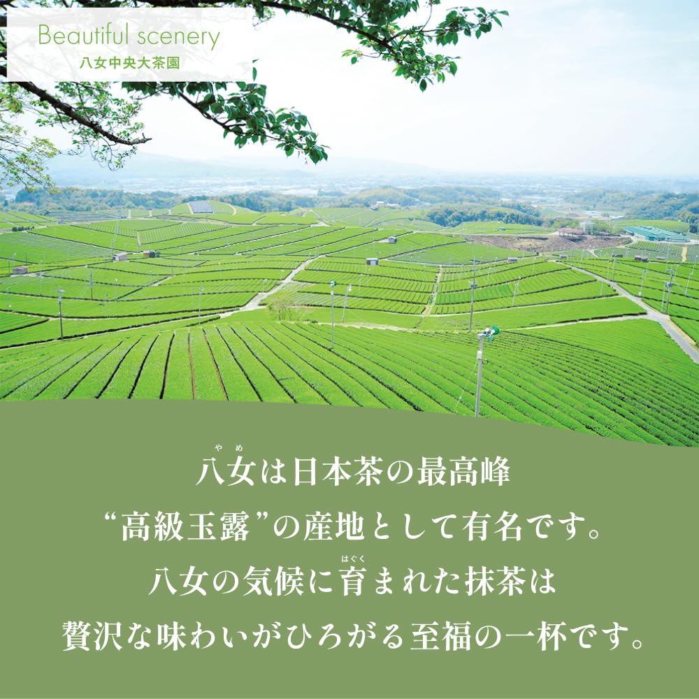 Amazon | 八女抹茶 「翠宝」 40g 缶入り 福岡 八女産 100％ お抹茶