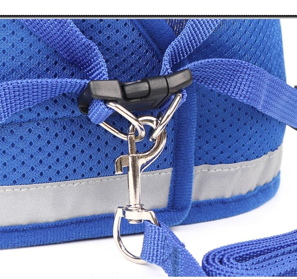 Harnais et Laisse réfléchissants en Nylon Rouge pour Chien et Chat, compatibles avec Les Petits et Moyens Chiens (Taille M) et Les Sacs de Transport pour Chien (Taille L).