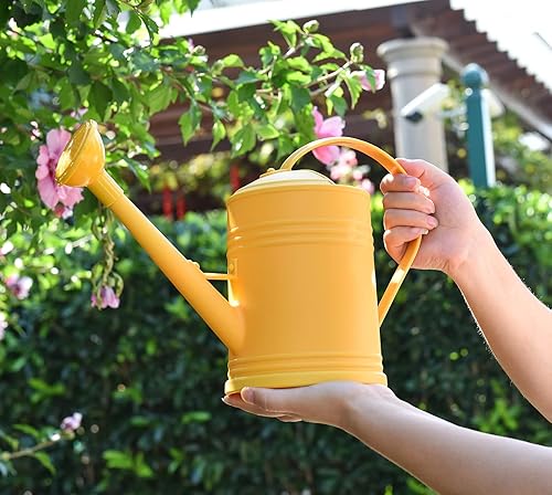 Miniatura 8 de Regadera de plástico para plantas de interior, flores de jardín al aire libre, regadera para plantas de interior con cabezal de aspersor (12 galón,