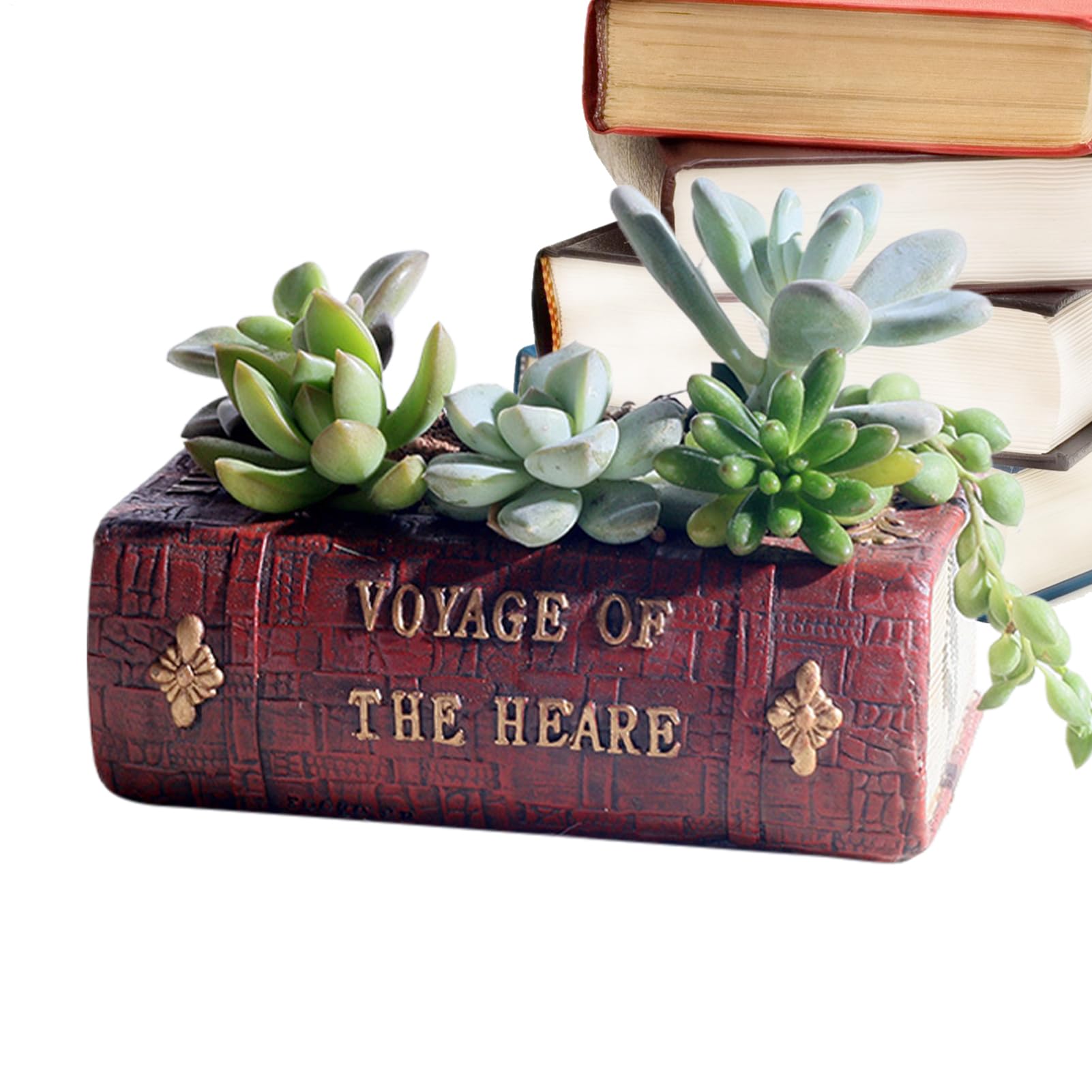 Pot de fleurs livre cadeau idéal pour les amateurs de lecture