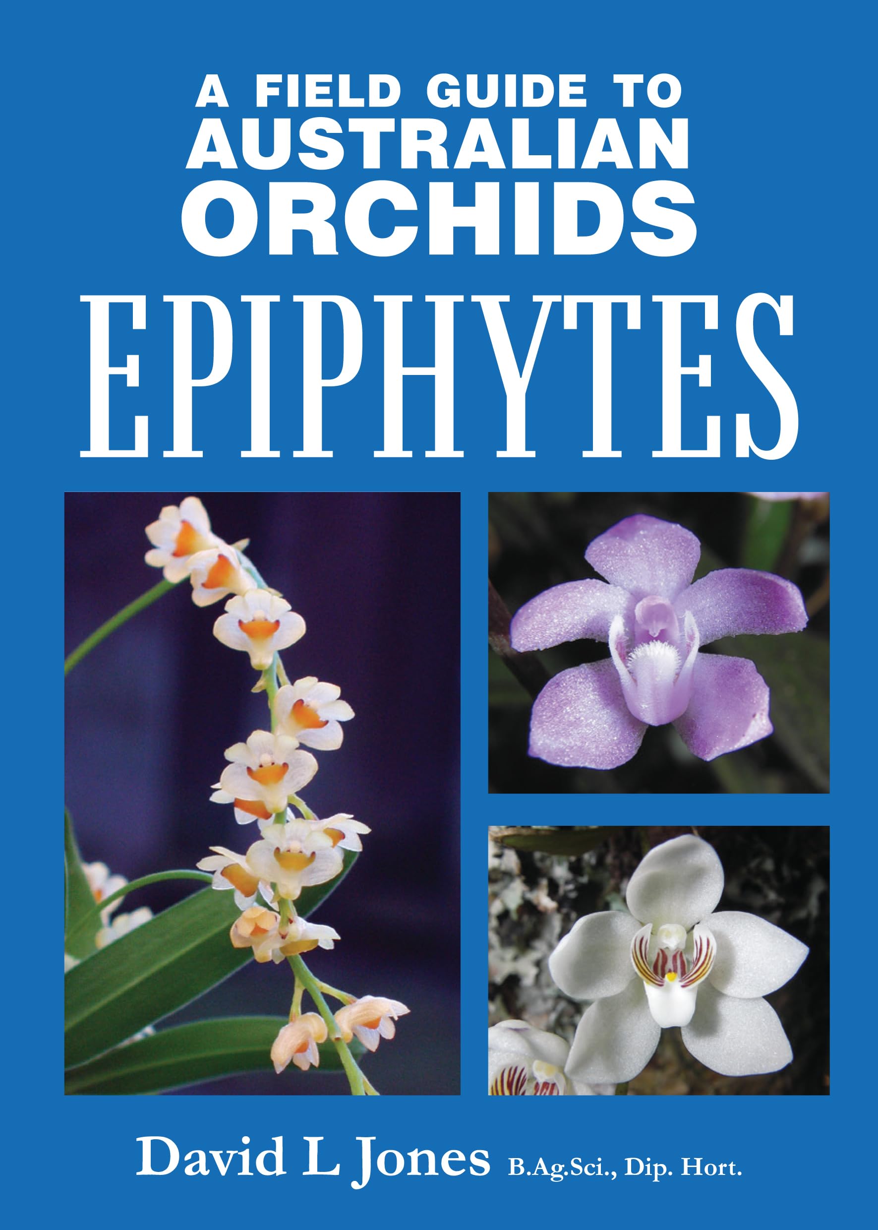 'Field Guide to Australian Orchids - Epiphytes: including the island territories
