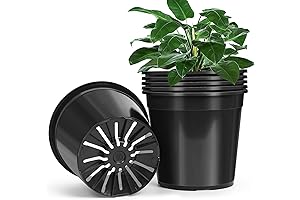 3 Gallon Pots for Plants Plastic: The Ultimate Guide for Healthy Plant Growth