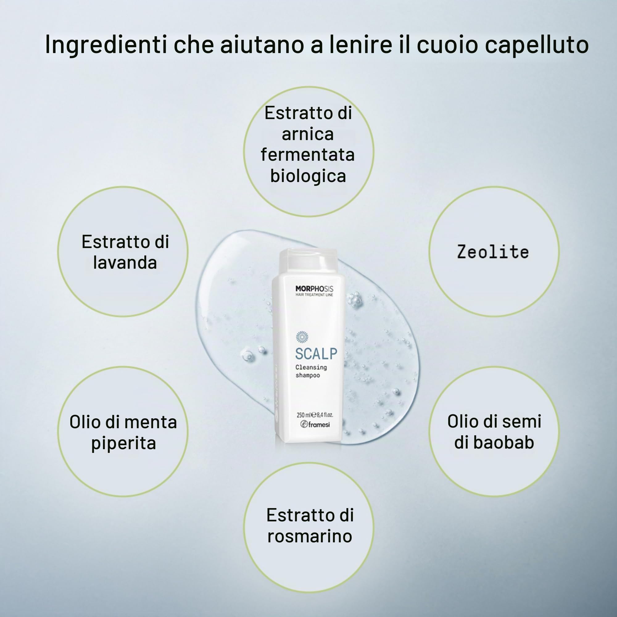 Framesi Morphosis Scalp Cleansing Shampoo 1000ml