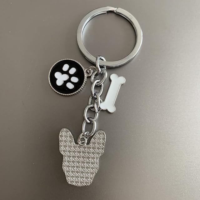 Foto 4 de 8 de Etiquetas de identificación de perro llavero, etiquetas de identificación para mascotas