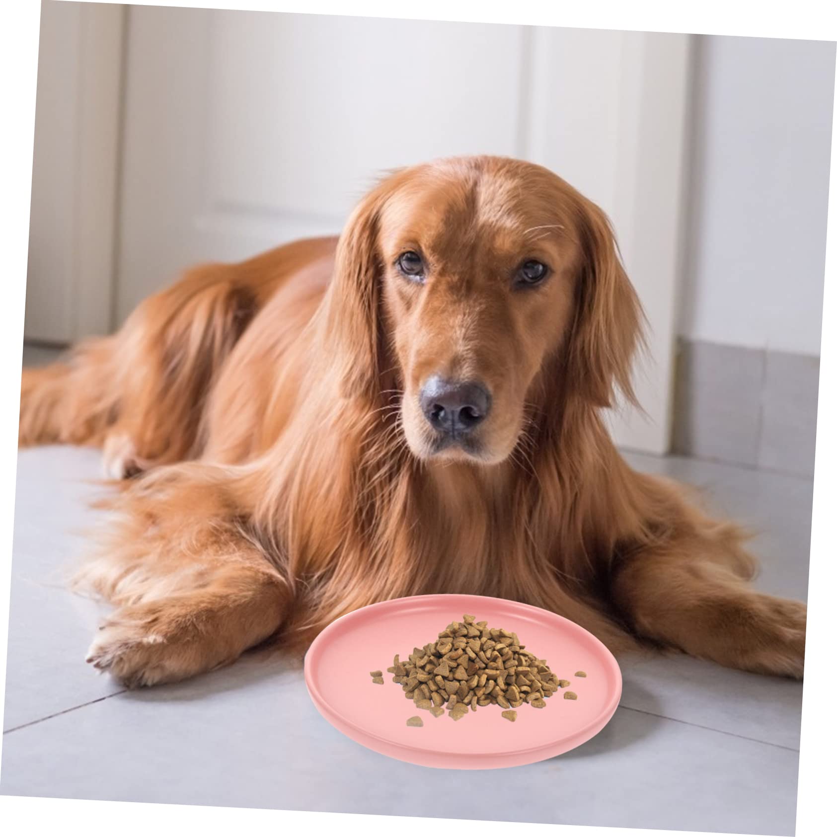 CIYODO Ceramic Cat Bowl for Whisker Fatigue Relief Easy to Pet Dish for Food Water for Kittens Cats Stylish Design Comfortable Eating Experience