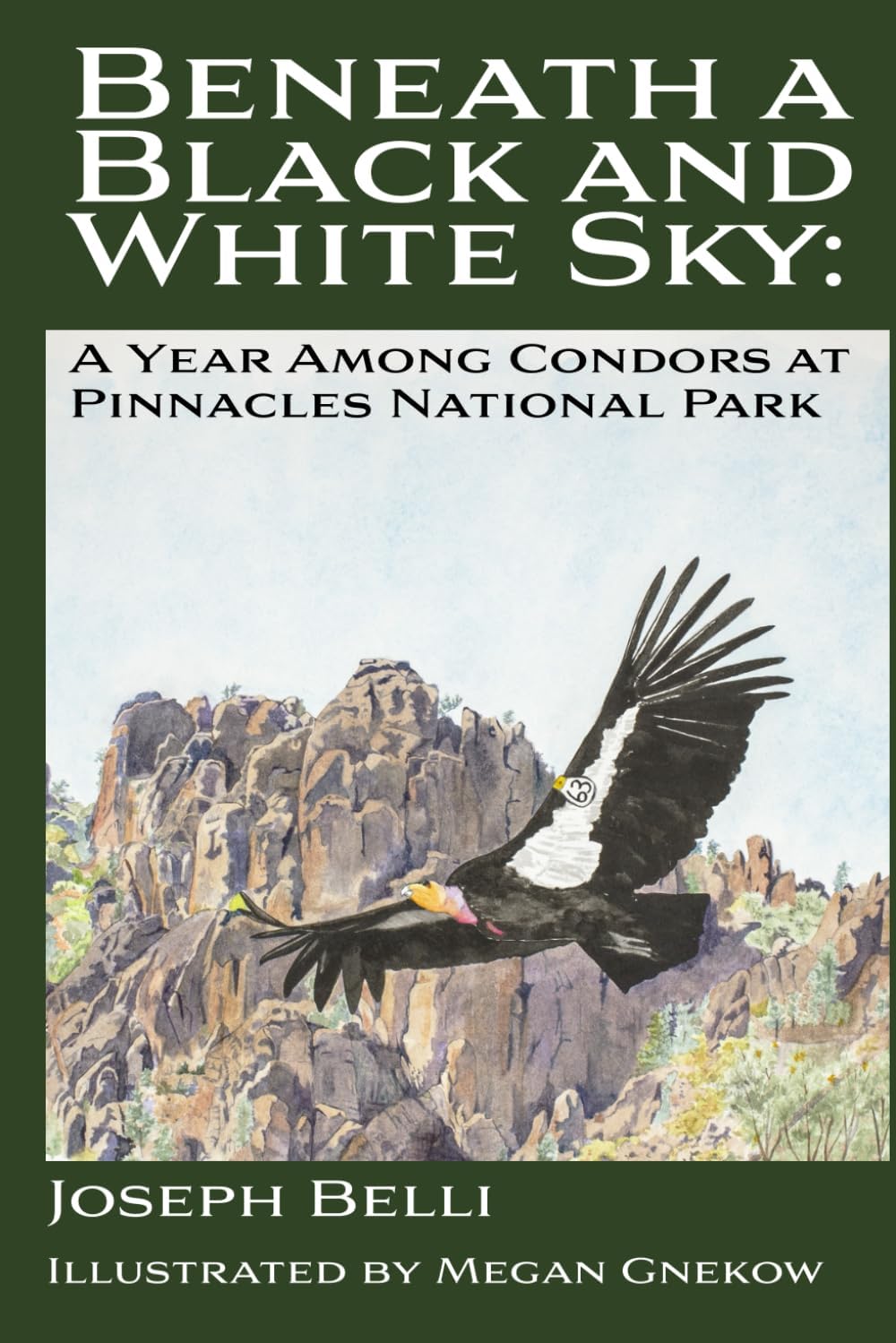 Beneath a Black and White Sky: A Year Among Condors at Pinnacles National Park