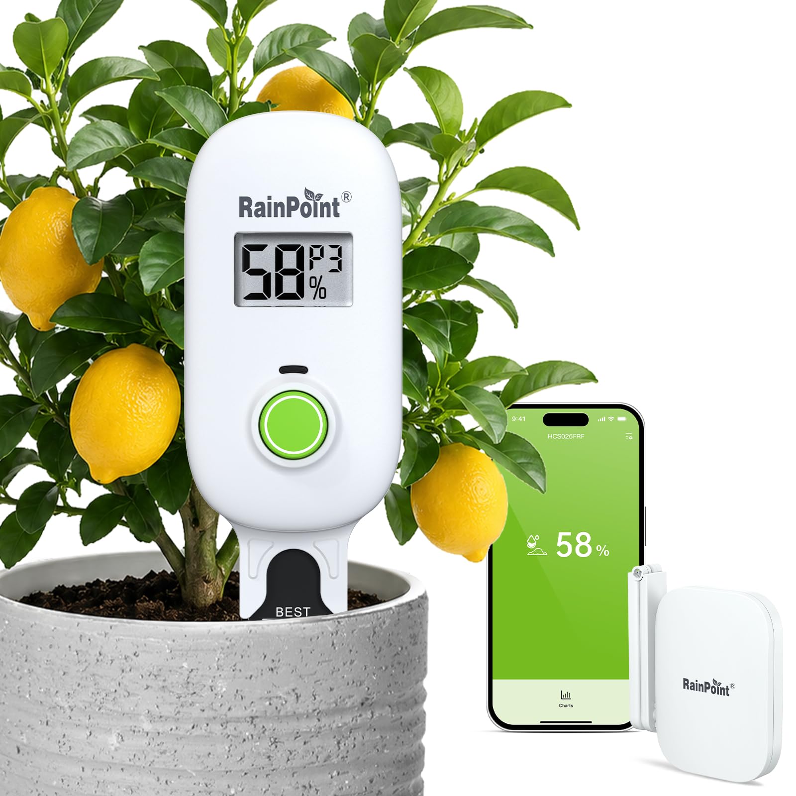RAINPOINT Smart Moisture Meter