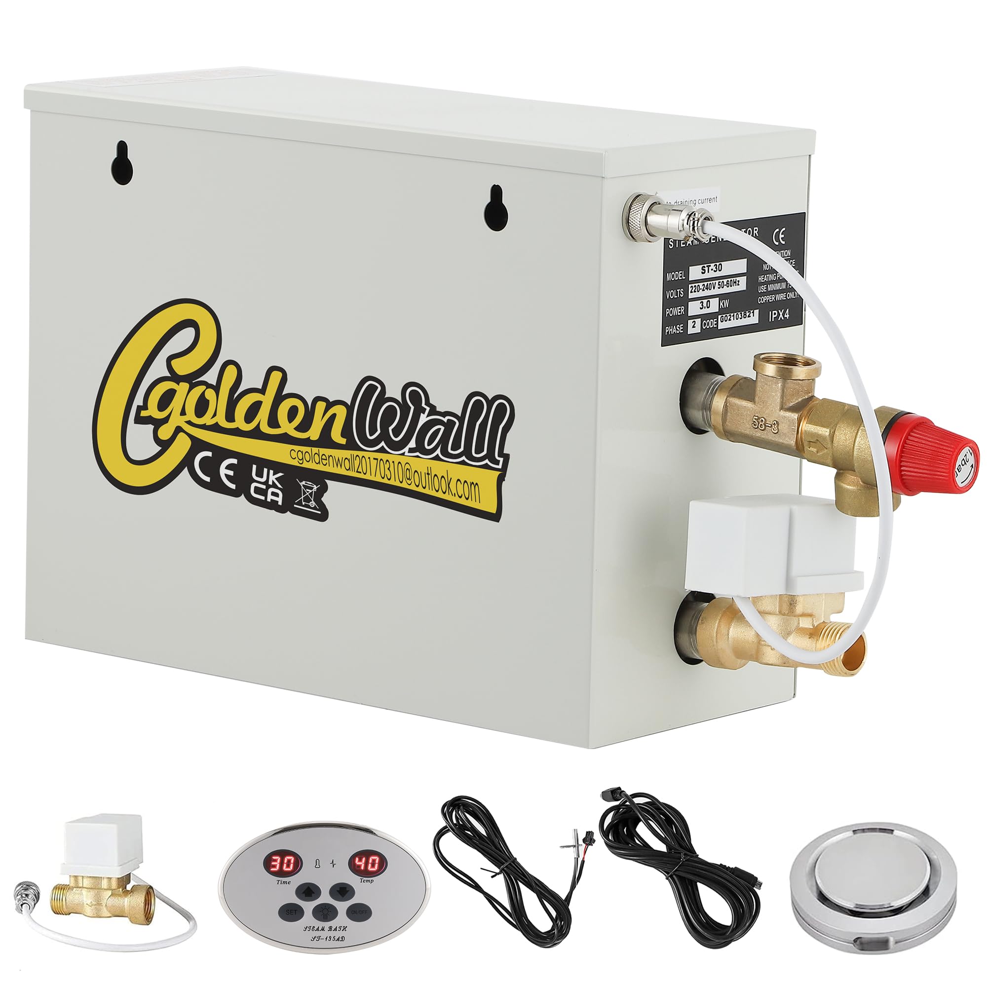 CGOLDENWALL 3 KW Générateur de Vapeur 220V Maison