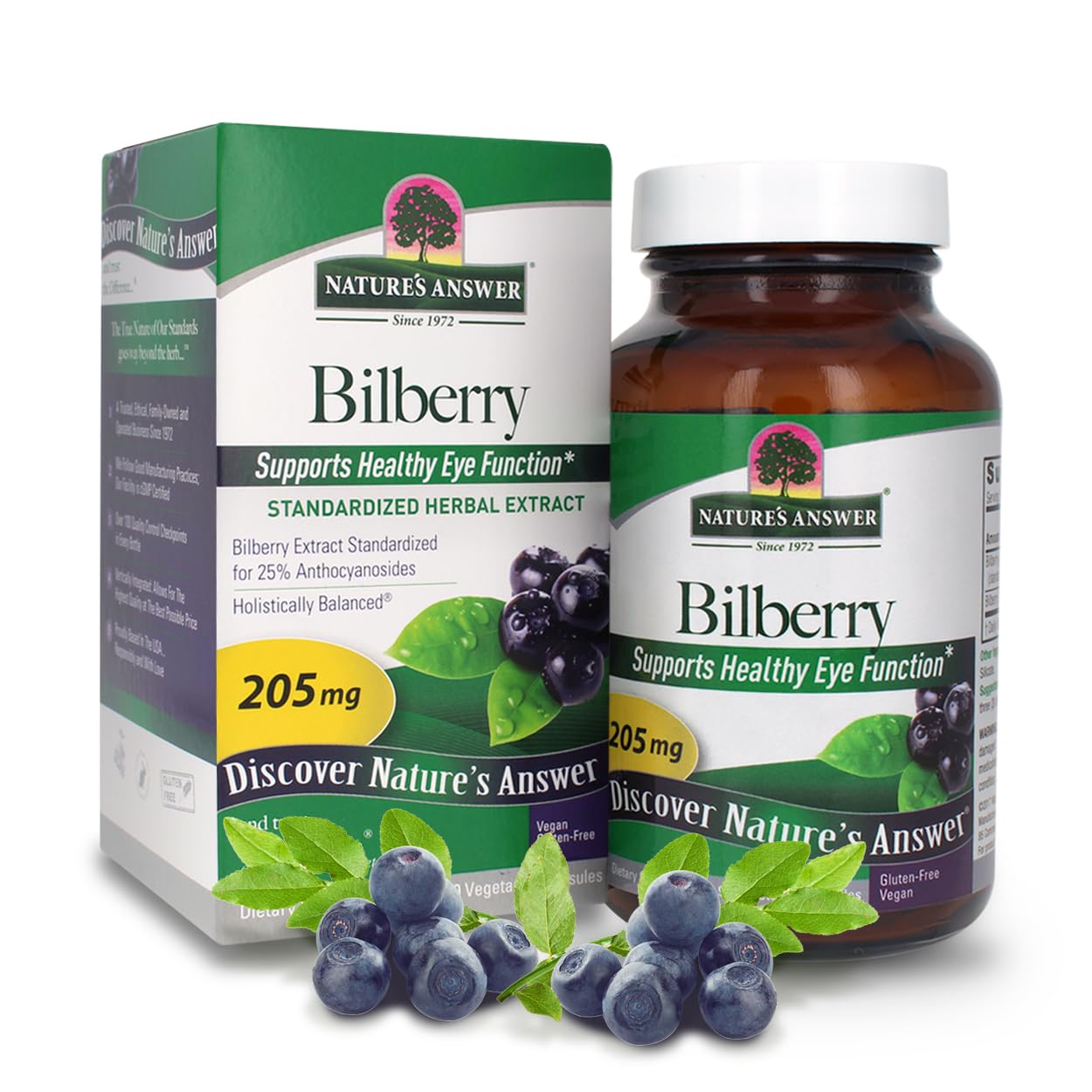 Nature's Answer Bilberry Standardized Capsules 90 Count | Eye & Vision Support | Promotes Circulation