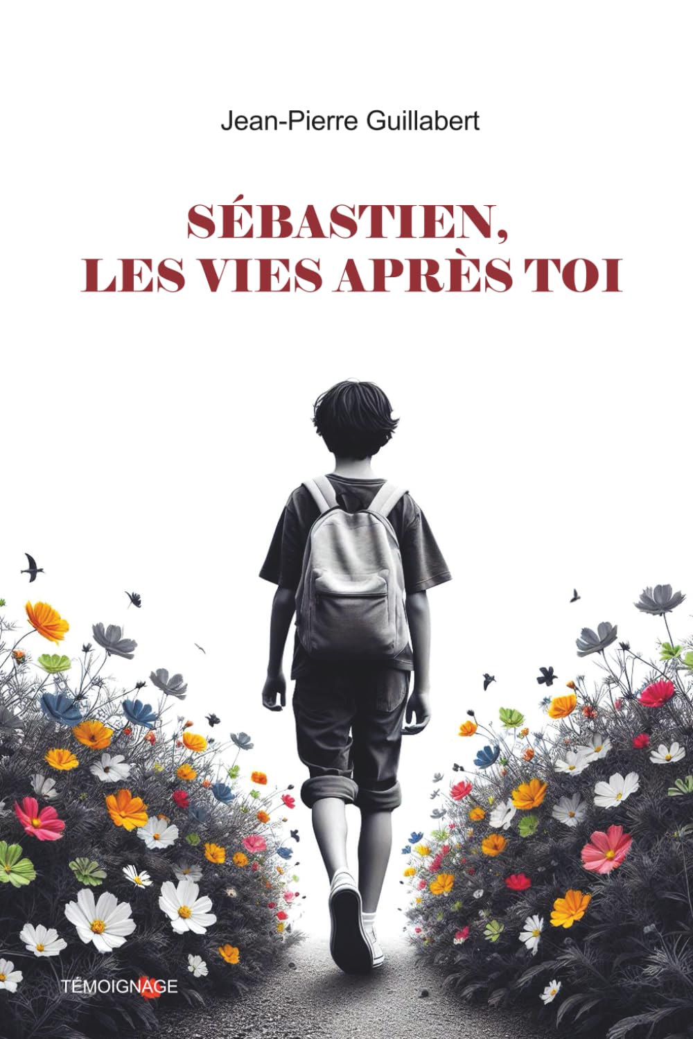 Sébastien, les vies après toi