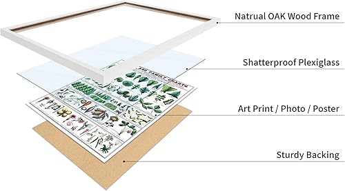 Miniatura 131 de Poster Master Póster vintage de orquídea, estampado de flores retro, arte de pared de plantas exóticas, arte botánico, regalo para hombres y