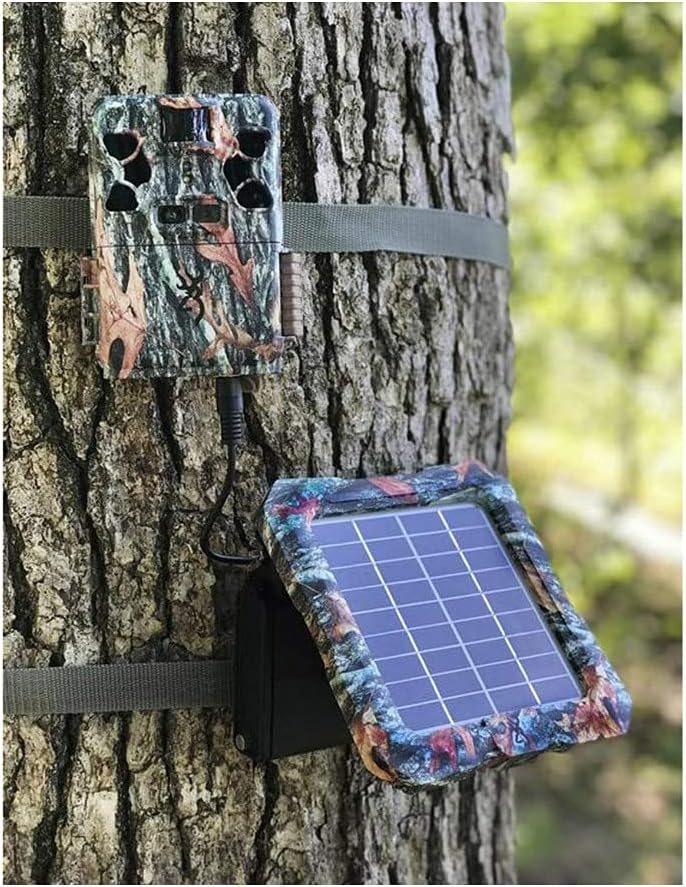 Browning Solar Battery Pack connected to a Browning Trail Camera, both mounted on a tree.
