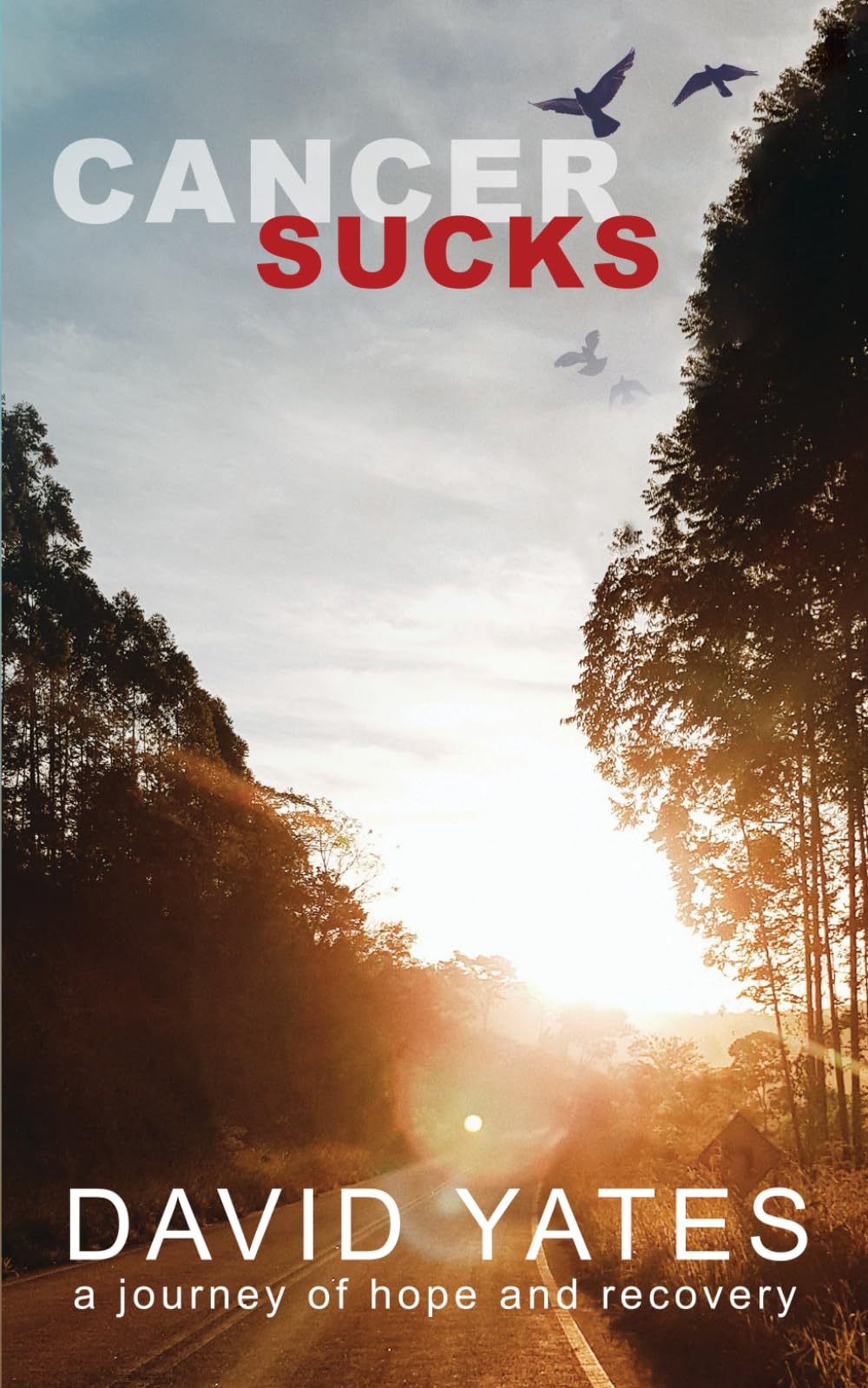 Cancer Sucks: a journey of hope and recovery