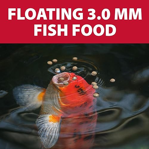 Miniatura 8 de The Pond Guy Alimento básico para peces koi y peces de colores, pellets flotantes de elección para el bienestar y la salud de los peces, nutrición